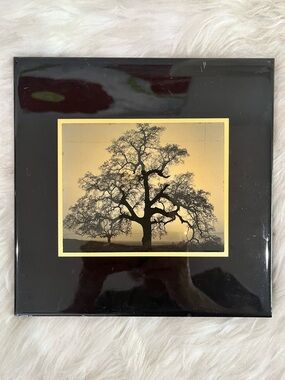 NEW Ansel Adams Landscape Black Sepia Square Tree Art Tile Wall 90s Art 8”